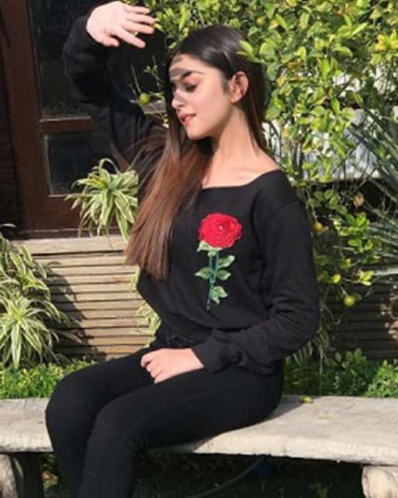 BLACK EMBROIDERY FLOWER PATCHES CROPPED SWEATSHIRT FOR womens 337 - DENIMS - Hoodies & Sweatshirts - 